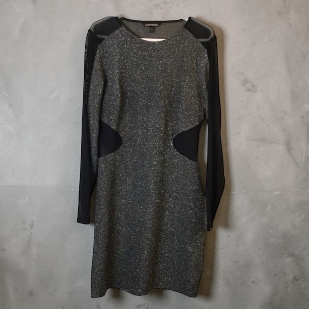 Express Metallic Shimmer Mini Dress Sheer Mesh Long Sleeve Size 8